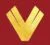 Viva Insurance Services